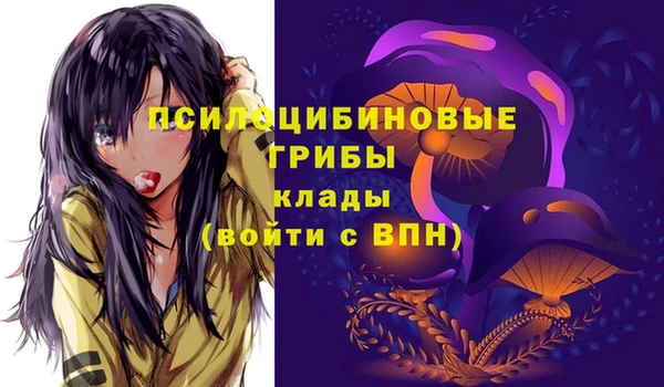 марки nbome Каменка