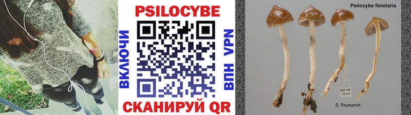 hydra как войти  где продают   Суровикино  Псилоцибиновые грибы MAGIC MUSHROOMS 